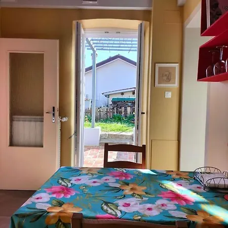 Casazzurra, Su Giardino, Cucina, E Park Adiacente 아파트 *