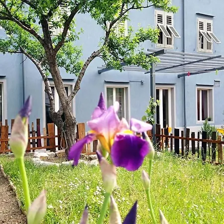 Apartment Casazzurra, Su Giardino, Cucina, E Park Adiacente *
